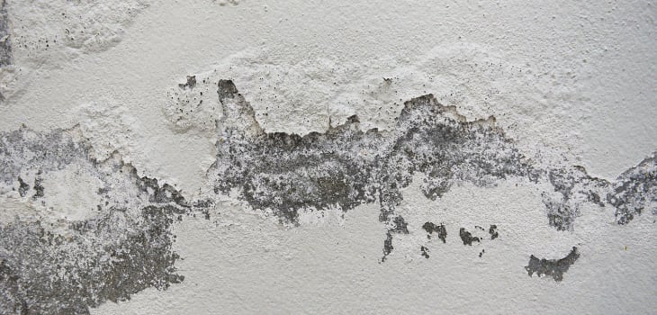 Bubbling of paint on white walls